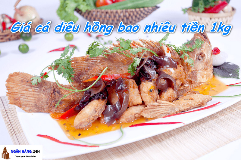 Giá cá diêu hồng tại Hà Nội