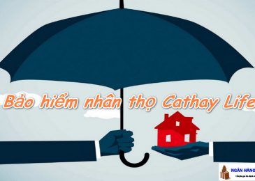 [Sự thật] Công ty bảo hiểm nhân thọ Cathay Life có tốt không, nên mua không?