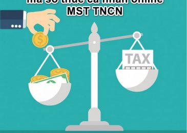 Hướng dẫn cách tra cứu mã số thuế cá nhân online 2022 – MST TNCN