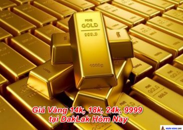 Giá Vàng 14k, 18k, 24k, 9999 tại DakLak Ngày Hôm Nay 2022