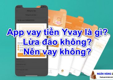 App Vay Tiền Yvay là gì, có tốt không, lãi suất bao nhiêu, Nên vay không?