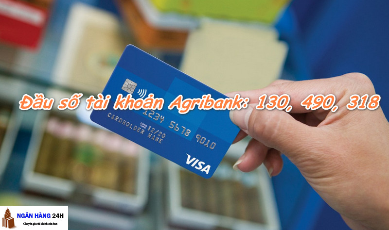Các đầu số tài khoản của ngân hàng Agribank hiện nay là gì?