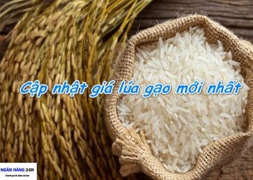 Giá lúa gạo mới nhất ngày hôm nay là bao nhiêu tiền 2024?