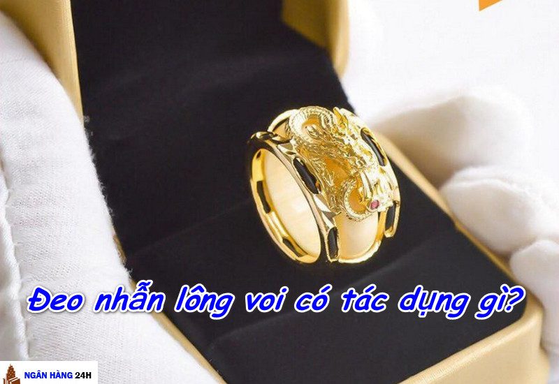 Nhẫn lông voi vàng giá bao nhiêu tiền?