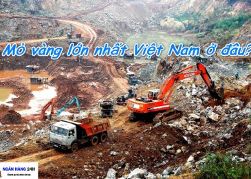 Top 7 Mỏ Vàng, Quặng Vàng Lớn Nhất Việt Nam 2024