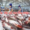 Giá cá tra thịt, bột, thương phẩm bao nhiêu tiền 1kg hôm nay 2024?