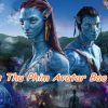 Doanh Thu của Phim Avatar Là Bao Nhiêu, Có Phải Cao Nhất Hollywood