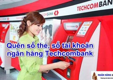 Quên Số Thẻ ATM, Số Tài Khoản Ngân Hàng Techcombank Phải Làm Sao?
