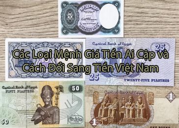 Các mệnh giá tiền ai cập và cách đổi sang tiền Việt Nam 2024