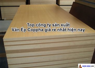 Top 5 công ty sản xuất Ván Ép Coppha giá rẻ nhất hiện nay 2023
