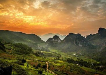 Tương lai của quỹ khởi nghiệp tại Việt Nam